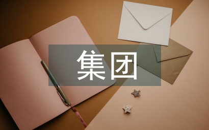 國有集團公司財務管控