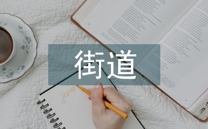 街道工作思路