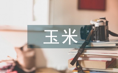 玉米種植中農(nóng)業(yè)工程技術(shù)運(yùn)用