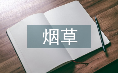 煙草企業(yè)網(wǎng)絡營銷研究