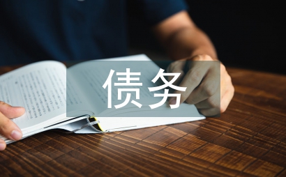 防范債務風險工作情況匯報