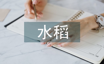 農(nóng)業(yè)技術(shù)推廣及水稻栽培技術(shù)探究
