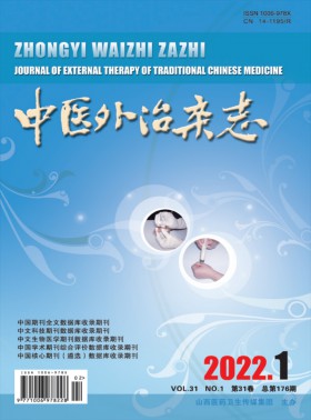 中醫(yī)外治期刊