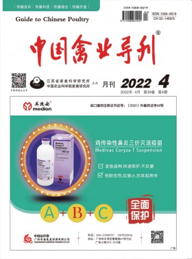 中國(guó)禽業(yè)導(dǎo)刊期刊