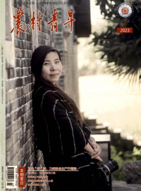 農(nóng)村青年期刊