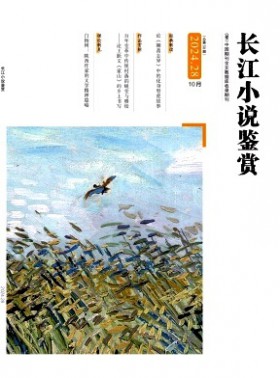 長(zhǎng)江小說鑒賞